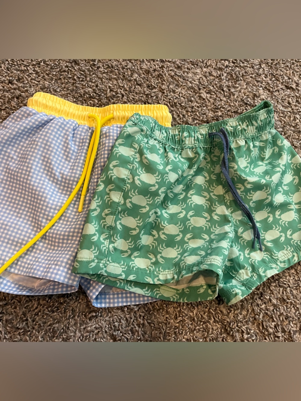 Boys toddler swimsuit 2t crewcuts Stitchy fish green blue gingham swim trunks